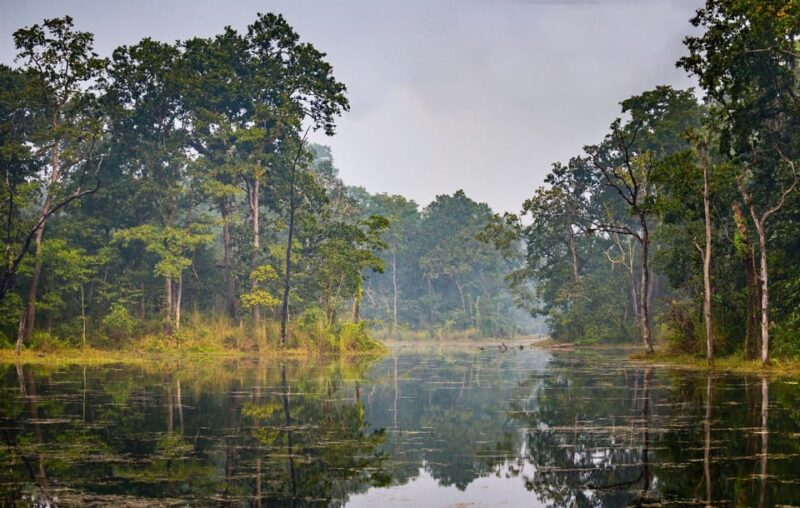 From Pokhara: 2 Night 3 Day Chitwan Wildlife Jungle Tour - Itinerary Highlights