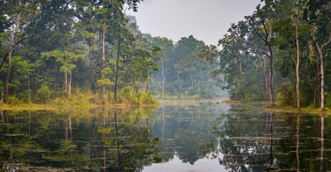 From Pokhara: 2 Night 3 Day Chitwan Wildlife Jungle Tour - Payment Options