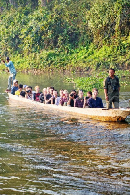 From Pokhara: 2 Night 3 Day Chitwan Wildlife Jungle Tour - Frequently Asked Questions