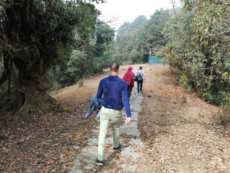 From Pokhara: 2 Night 3 Day Panchase Hill Trek (Private) - Trekking Itinerary