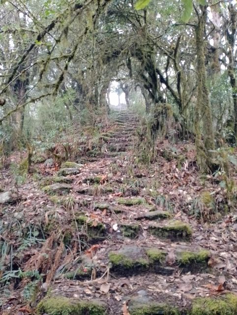 From Pokhara: 2 Night 3 Day Panchase Hill Trek (Private) - Suitability