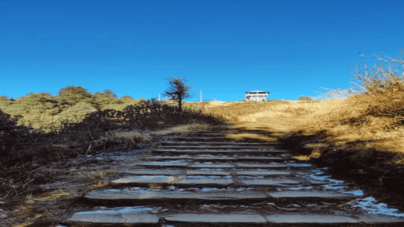 From Pokhara: 2 Night 3 Days Poon Hill Trek - Weather and Best Times