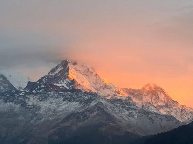 From Pokhara: 3 Day 2 Night Annapurna Poon Hill Short Trek - Itinerary Details