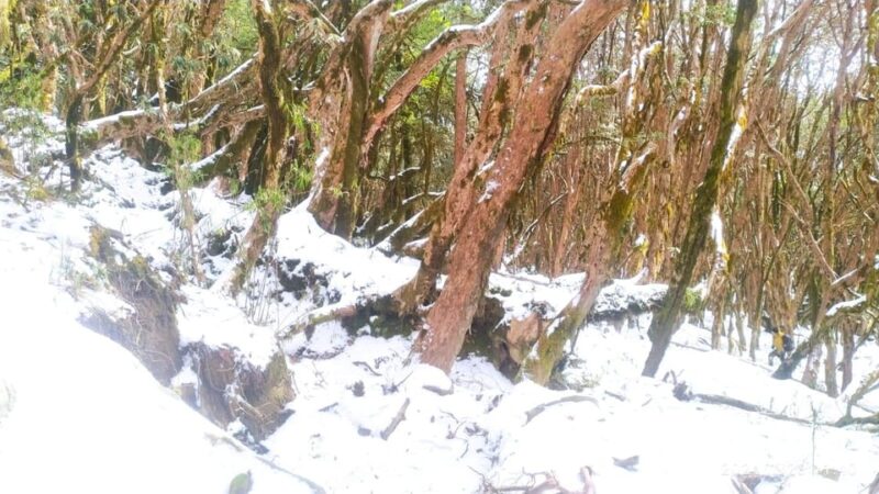 From Pokhara: 3 Day 2 Night Mardi Himal Natura Explore Trek - Key Points