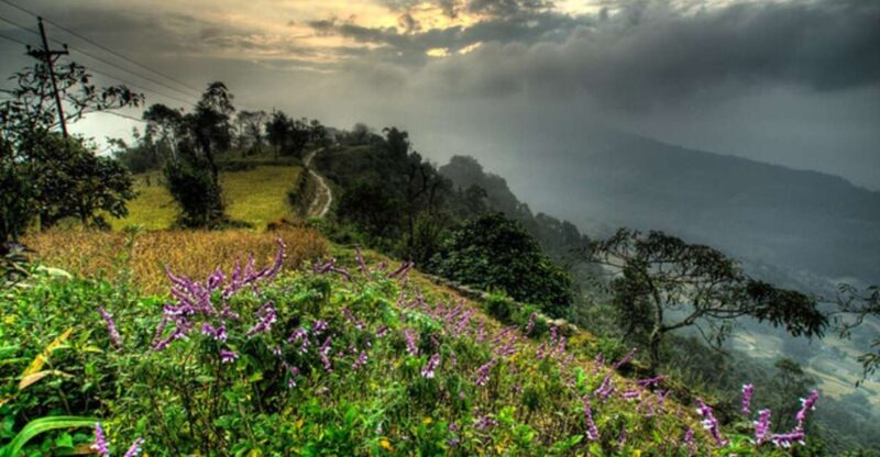 From Pokhara: 3-Day Dhampus-Sarangkot Trek - Key Points