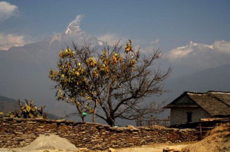 From Pokhara: 3-Day Dhampus-Sarangkot Trek - Trekking Highlights