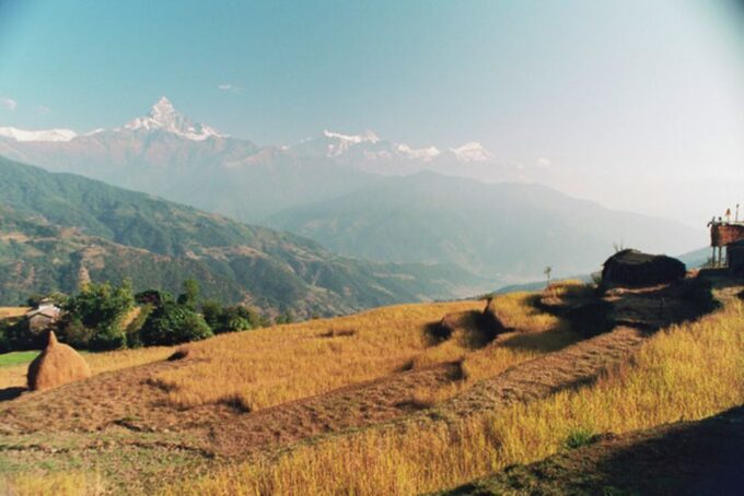 From Pokhara: 3-Day Dhampus-Sarangkot Trek - Customer Feedback