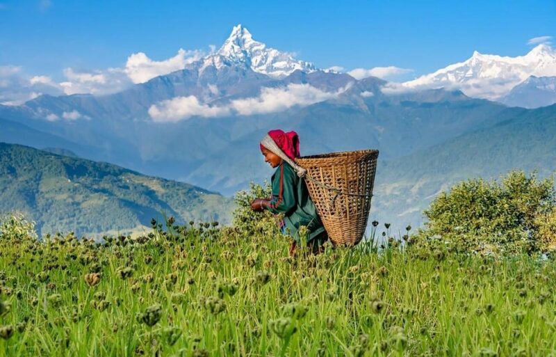 From Pokhara: 3-Day Ghorepani Poonhill Short Trek - Trek Highlights