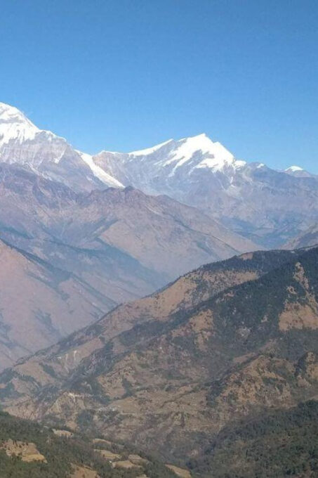 From Pokhara: 3 Night 4 Days Ghandruk Poon Hill Trek - Natural Treasures Along the Way