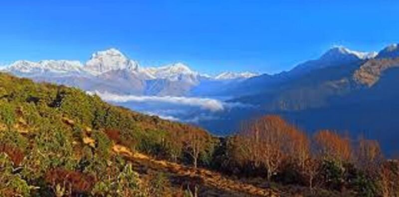 From Pokhara: 3 Night 4 Days Mohare Danda & Poon Hill Trek - Trek Highlights and Scenic Views