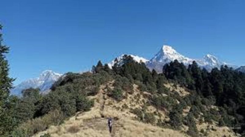 From Pokhara: 3 Night 4 Days Mohare Danda & Poon Hill Trek - Best Trekking Seasons