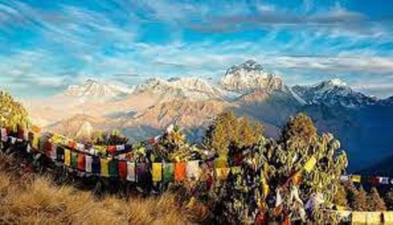 From Pokhara: 3 Night 4 Days Mohare Danda & Poon Hill Trek - Trek Route and Experience