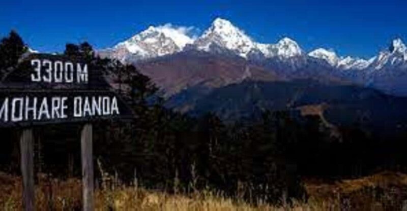 From Pokhara: 3 Night 4 Days Mohare Danda & Poon Hill Trek - Itinerary