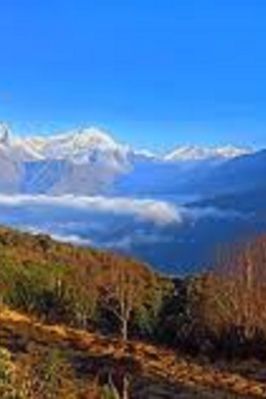 From Pokhara: 3 Night 4 Days Mohare Danda & Poon Hill Trek - Inclusions and Support