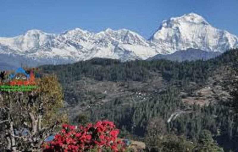 From Pokhara: 3 Night 4 Days Mohare Danda & Poon Hill Trek - Accessibility and Limitations