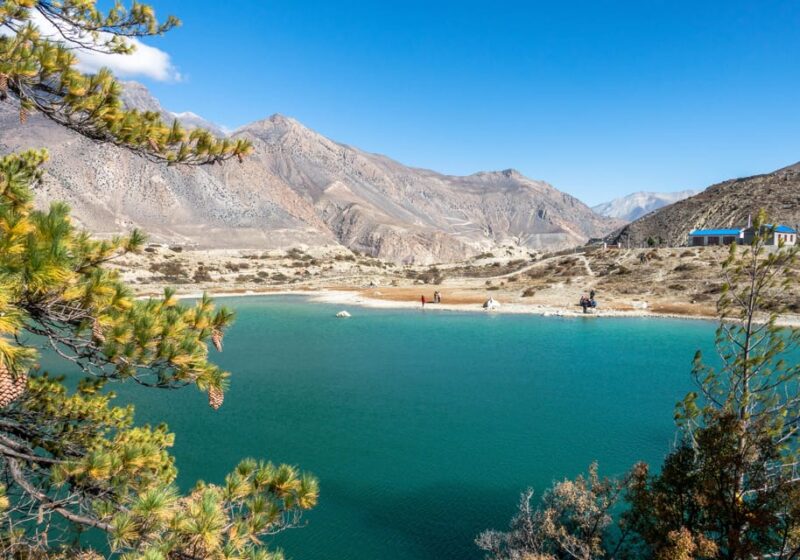 From Pokhara - : 4 Day Jomsom , Muktinath Trek & Jeep Tour - Inclusions