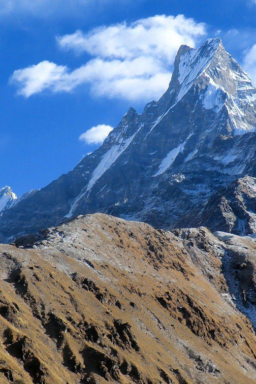 From Pokhara: 4 Days Mardi Himal Base Camp Trek - Inclusions and Logistics