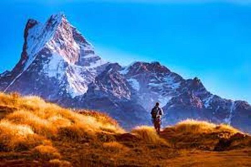 From Pokhara: 4 Days Mardi Himal Trek - Key Points