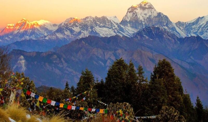 From Pokhara: 4D 3N Ghorepani Poon Hill Trek - Difficulty Level and Suitability