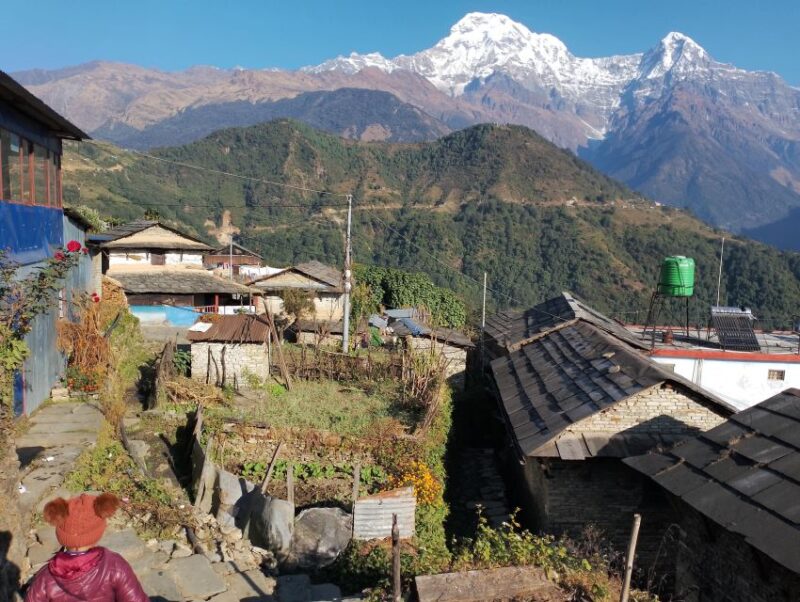 From Pokhara: 5 Day Annapurna Base Camp Trek - Included Trek Services