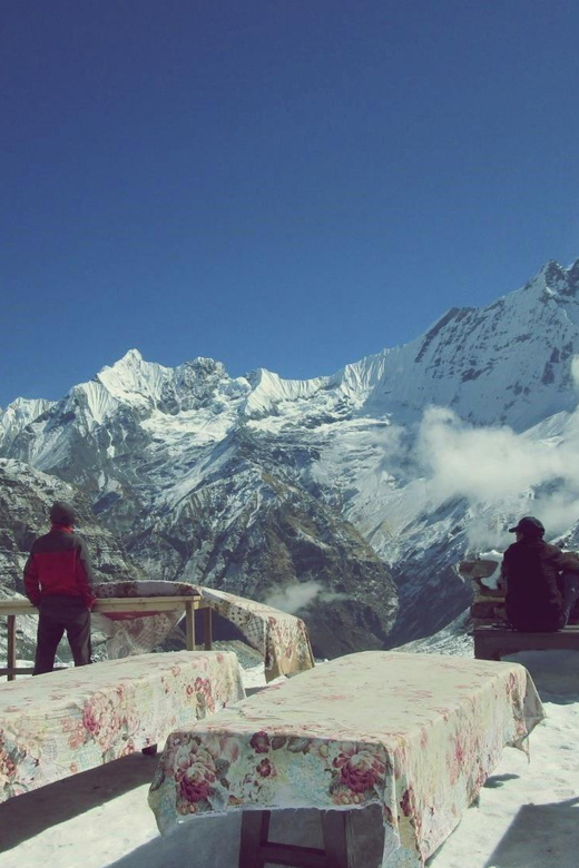 From Pokhara: 5 Day Annapurna Basecamp Trek With Local Guide - Itinerary Breakdown