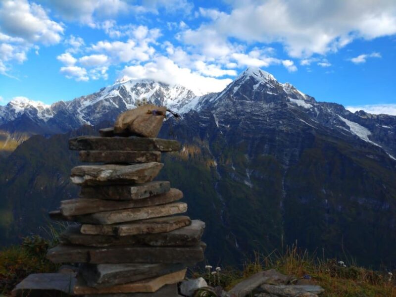 From Pokhara: 6 Days Easy Mardi Himal Trek - Key Points