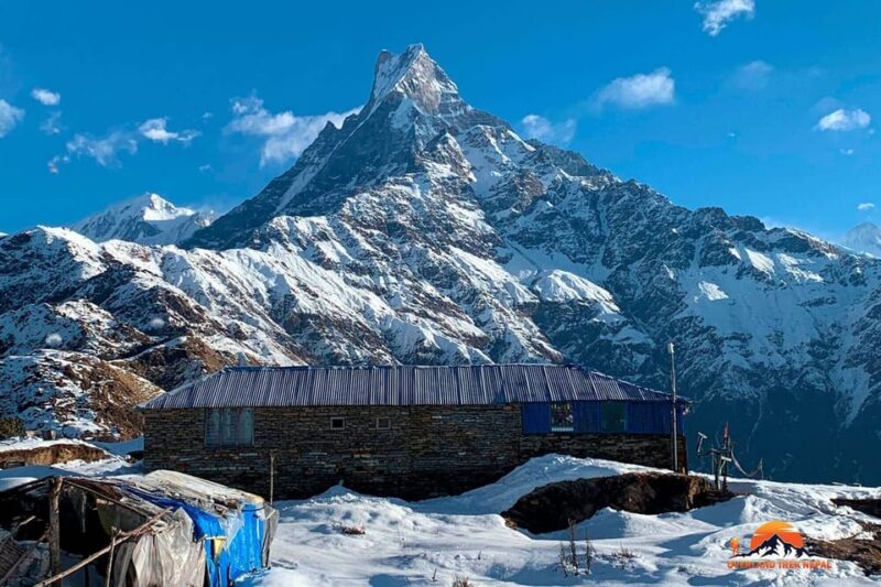 From Pokhara: 6- Days Group Joining Mardi Himal Trek - Booking and Pricing