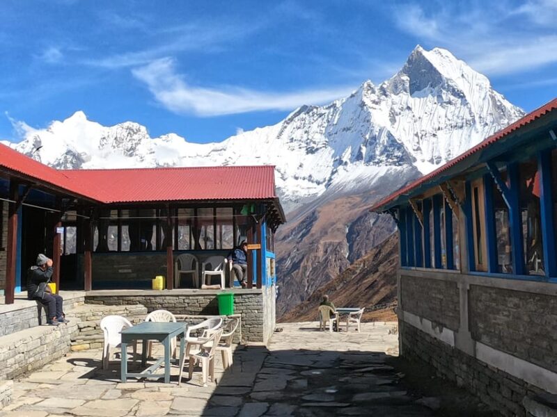 From Pokhara: 7 Day Annapurna Base Camp Private Trek - Itinerary Overview