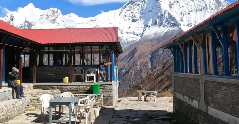 From Pokhara: 7 Day Annapurna Base Camp Private Trek - Inclusions and Exclusions