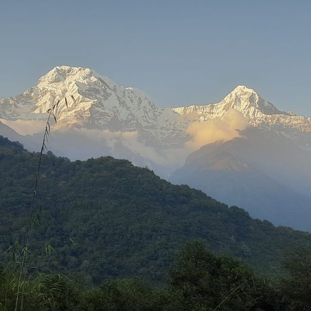 From Pokhara: 7-Day Annapurna Base Camp Trek - Preparation Considerations