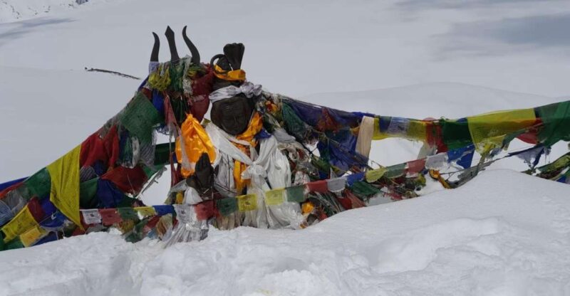 From Pokhara: 7 Days Annapurna Basecamp Trek - Trekking Experience and Attractions