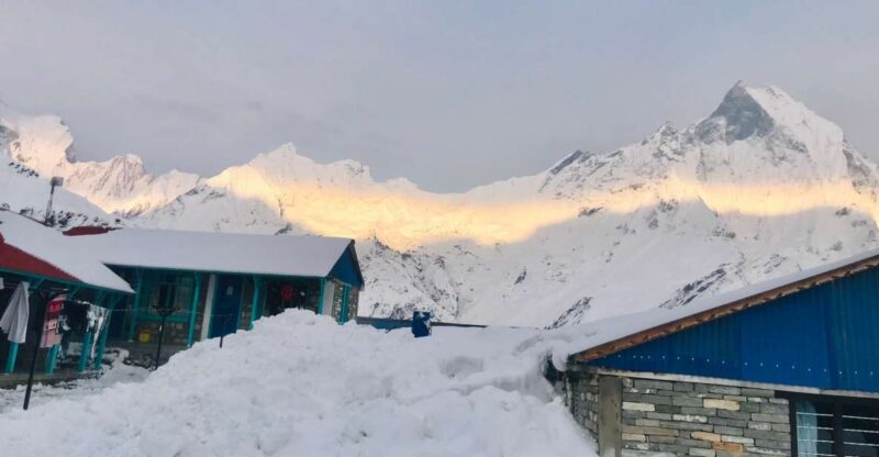 From Pokhara: 7 Days Budget Backpackers Group ABC Trek - Trek Experience and Highlights
