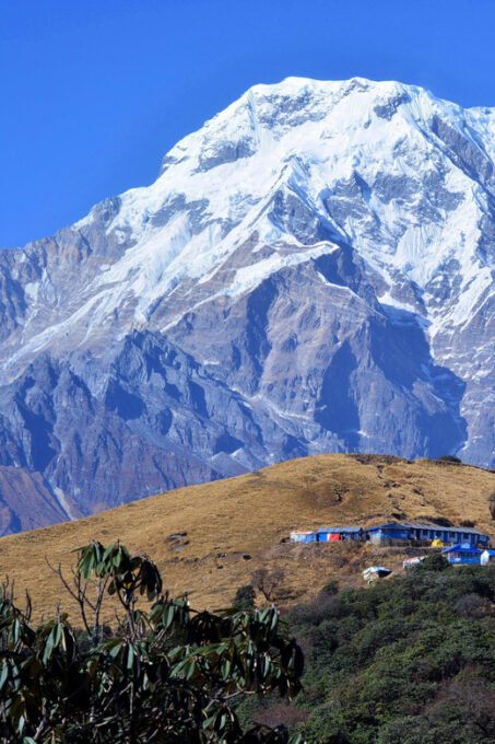 From Pokhara: 8-Day Mardi Himal Trek With Transfers - Additional Information
