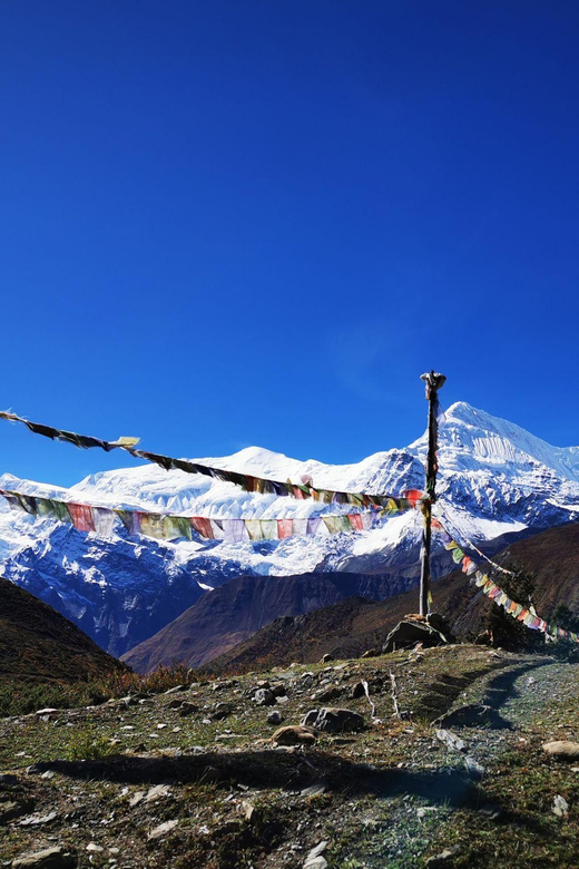 From Pokhara: 9-Day Annapurna Circuit Trek - Pricing and Booking Information