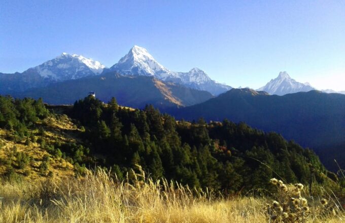 From Pokhara: Annapurna Base Camp and Poon Hill Trek - Recommendations