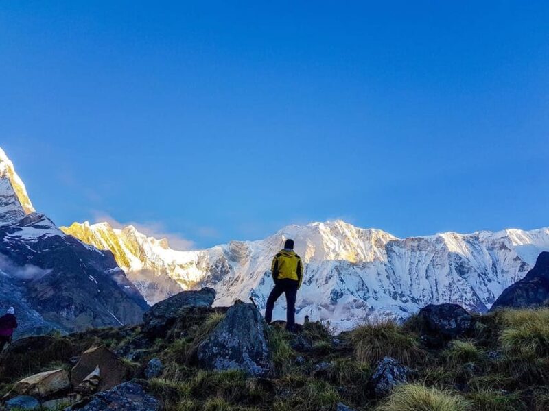 From Pokhara: Annapurna Base Camp Private Trekking - 5 Days - Scenic Highlights