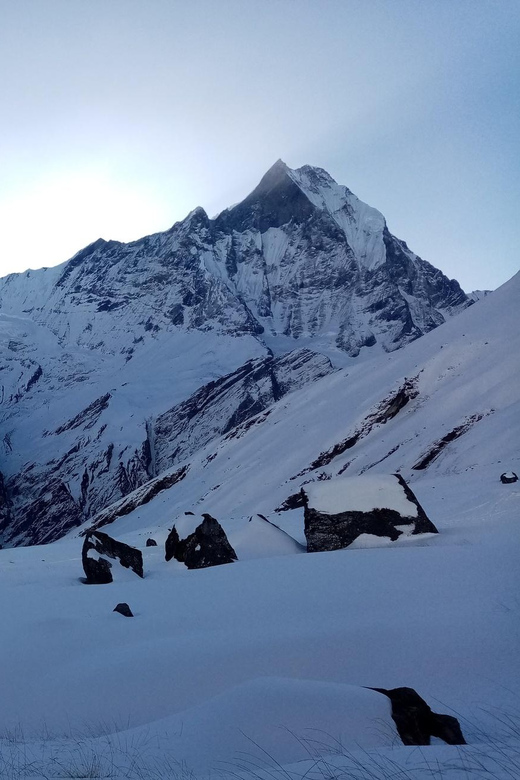 From Pokhara: Annapurna Base Camp Trek 7-Day Tour - Pickup and Drop-off
