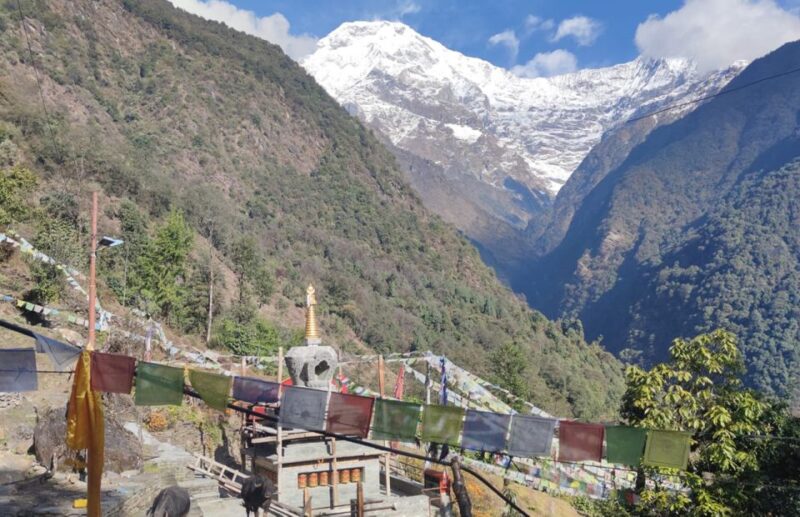 From Pokhara: Annapurna Base Camp Trek - Itinerary and Daily Schedule