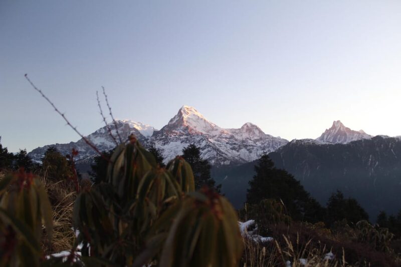 From Pokhara Budget: 2 Day 1 Night Ghorepani Poon Hill Trek - Not Suitable For