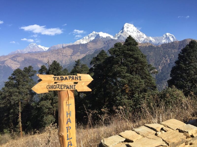 From Pokhara Budget: 2 Day 1 Night Ghorepani Poon Hill Trek - Highlights and Experience
