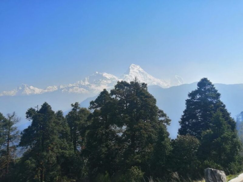 From Pokhara: Budget 2 Night 3 Days Poon Hill Trek - Contact and Support