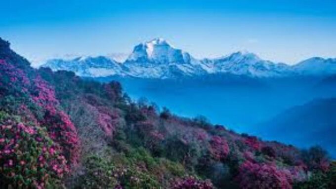 From Pokhara : Budget 3 Days Ghorepani & Poon Hill Trek - Frequently Asked Questions