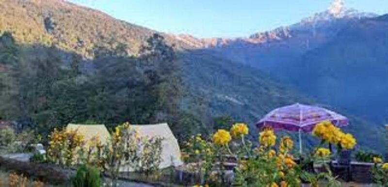 From Pokhara Budget: 5 Day Mardi Himal Base Camp Trek - Cancellation Policy