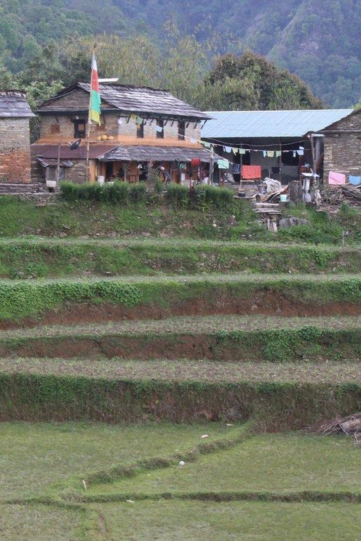 From Pokhara: Budget; 5 Day Poon Hill & Hot Spring Trek - Included Services and Amenities