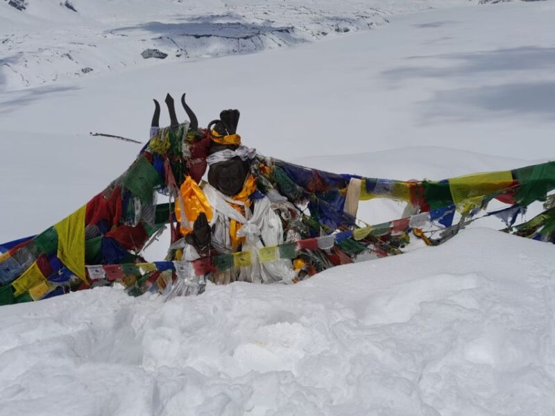 From Pokhara : Budget 6 Night 7 Day Annapurna Basecamp Trek - Detailed Itinerary