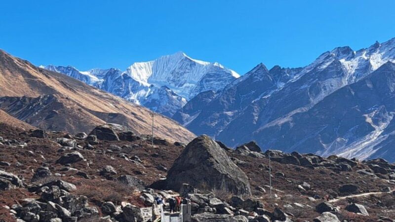 From Pokhara: Budget 7 Day Langtang Valley Trek - Explore Langtangs Rhododendron Forests