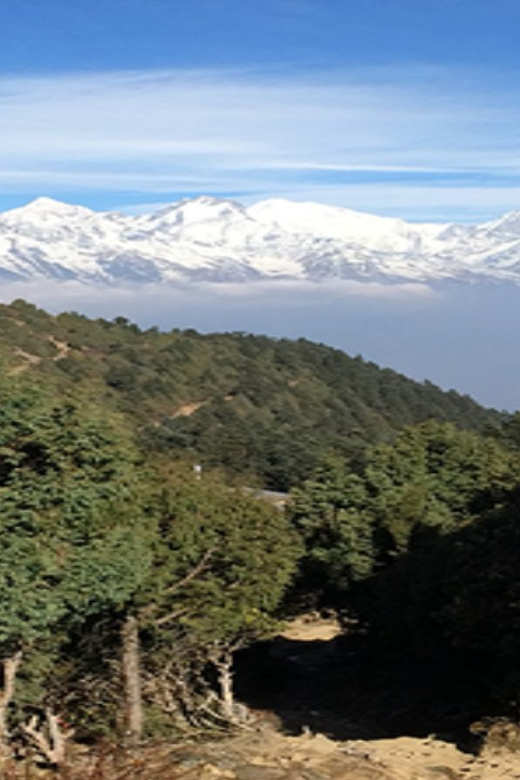 From Pokhara: Budget 7 Day Langtang Valley Trek - Trekking Experience