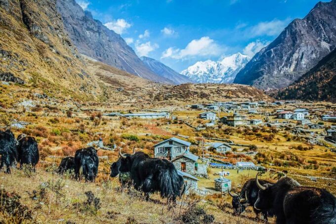 From Pokhara: Budget 7 Day Langtang Valley Trek - Cancellation Policy and Refunds