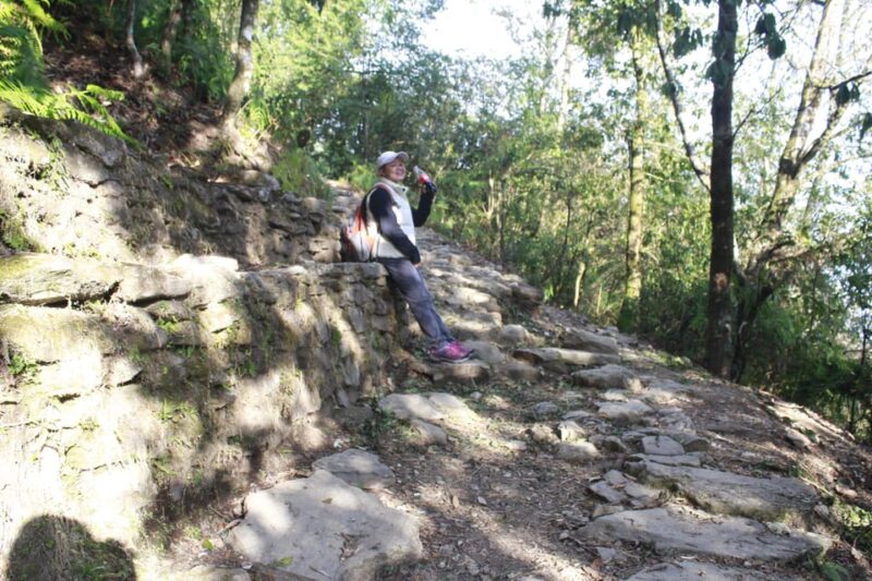 From Pokhara: Day Hiking Australian Camp & Dhampus - Included Services