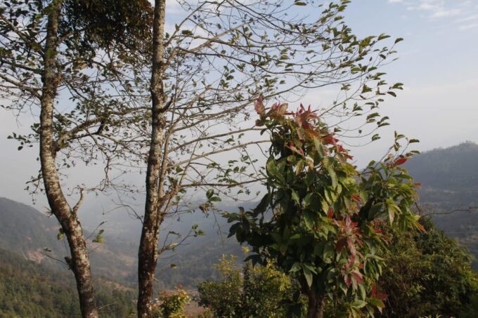 From Pokhara: Day Hiking Australian Camp & Dhampus - Frequently Asked Questions